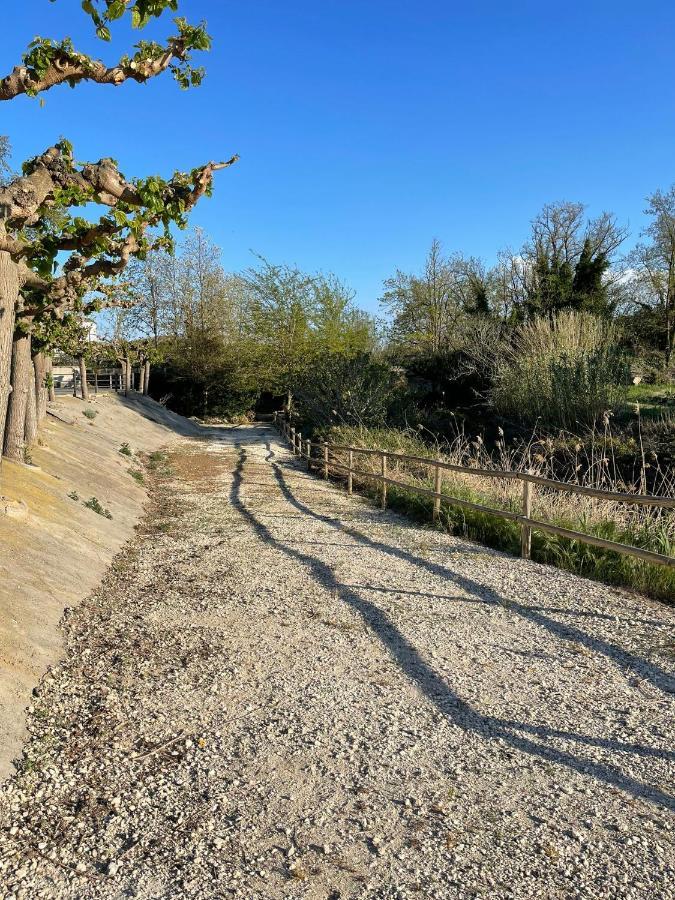 El Rincon De Tono Ξενοδοχείο Pomar  Εξωτερικό φωτογραφία